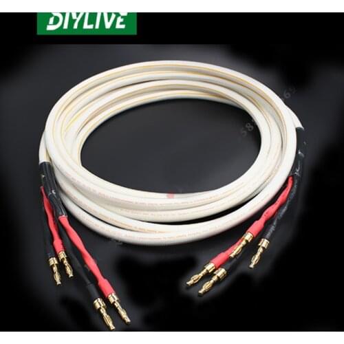 DIYLIVE Hi-Fi Monster S14-4R-CL four-core oxygen-free copper main audio cable speaker cable center cable speaker cable