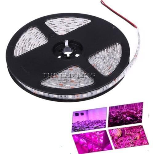 1- 10X 5050 LED Phyto Lamp 5 M Strip Light 60 LEDs/M Full Spectrum Fitolampy LED Grow Light Ribbon For Plants Flower Seeds Grow