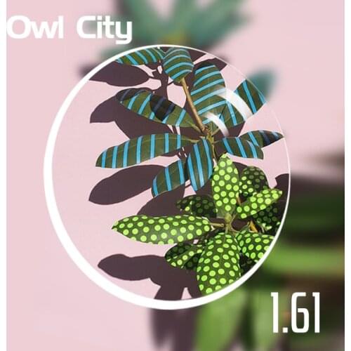 Owl City Women's Eyewear Accessories