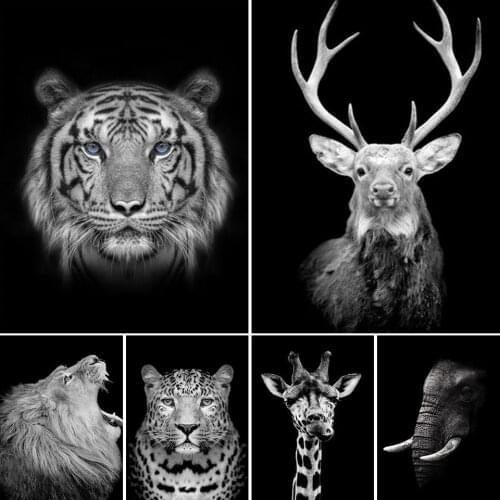 New Arrival 5D Diamond Painting Black White Animal Lion Tiger Kit Full Drill Square Embroidery Mosaic Crystal Picture Decor Gift