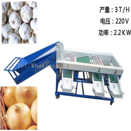 Automatic Garlic Bulb Sorting Machine| Garlic Onion Grading Machine| Onion Garlic Classifying Machine