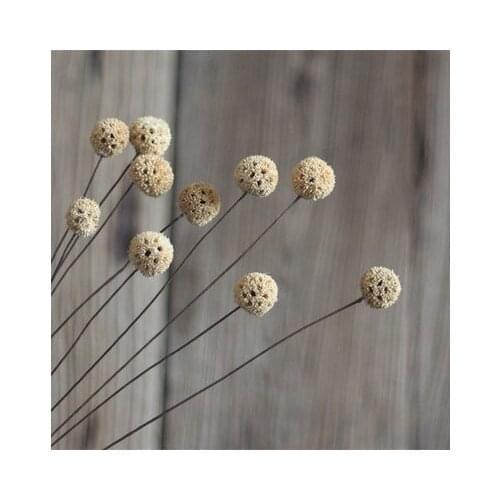 Natural dried flowers Fengguo art small fresh soft decoration home furnishings art dried flowers dried fruit