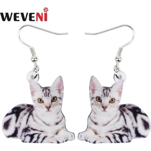 WEVENI Acrylic Elegant Cat Kitten Dangle Drop Earrings Big Long Fashion Animal Jewelry For Girls Women Lady Wholesale 2018 News