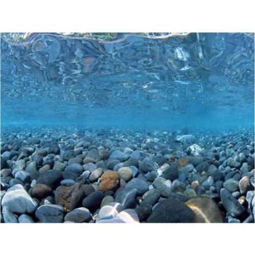 9078 19.3 " x 48 " Double Sided Aquarium Decoration Sea of Green Landscape Poster Fish Tank Background Picture Wall Decor Glossy