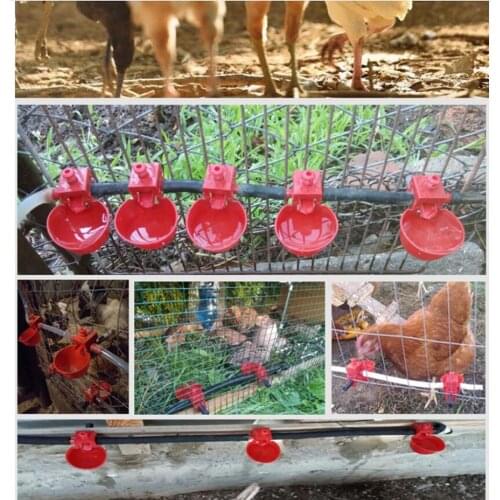 10Pcs Bird Cage Chick Coop Feed Quail Drinking Cups Chicken Water Bowl Pigeons Automatic Water Feeder Farm Animal Tool