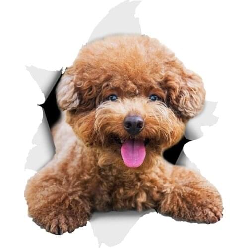 3D Smiling Brown Poodle Dog Car Sticker Lovely Decals Laptop Truck Motorcycles Auto Accessories PVC,15cm