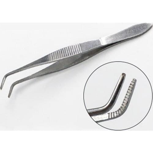 Stainless Steel Surgical Instrument Dressing Tweezers Round Head Transverse Tooth Tissue Tweezers With Cotton Ball Disinfection
