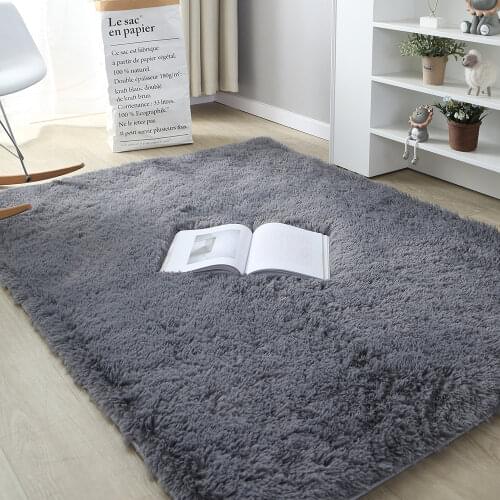 Thick Carpets for Living Room Modern Plush Rug Kids Bedroom Fluffy Floor Carpets Window Bedside Salon Sofa Table Decor Play Mat