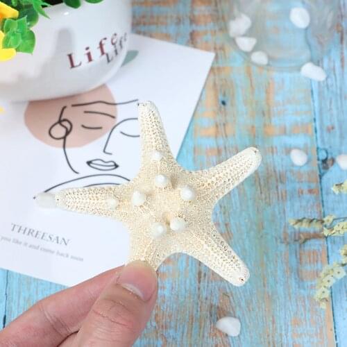 1PCS Home Decor White Starfish 2-14cm White Natural Finger Sea Star Wedding Decor Seashells Seafish Party Beige Seastar Crafts