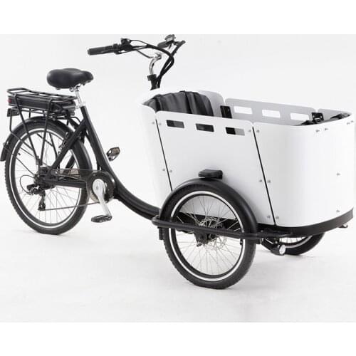 Electric Pedal 3 Wheels Cargo Bike with 250W Rear Motor for Carrying Kids or Pets