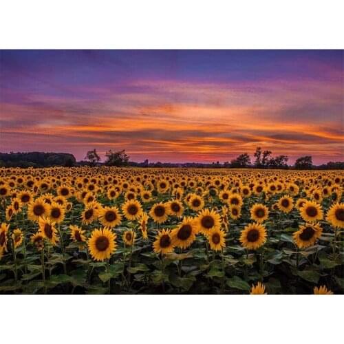 ZHDAR Diamond Painting Kits For Adults, Sunflower Diamond Embroidery Tool Full Set Scenery Painting Diamond Art Home Decoration