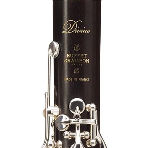 Professional Bb Clarinet DIVINE Ebony Clarinets Ebony Wood Silver Plating Key Musical Instruments Case Mouthpiece Reeds