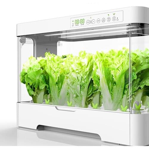 Oxygen Supply Electronic Water Cultivate Vegetable Seed Planting Enclosed Case Box Soilless Soil-Free Cultivation Equipment