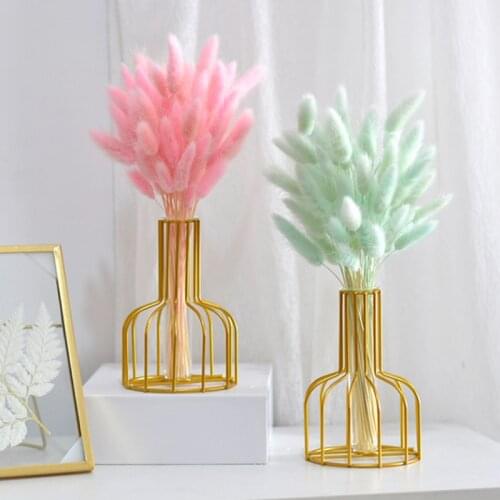 Rabbit Tail Grass Real Plants Wheat Lagurus Ovatus Natural Dry Flowers Colorful Wedding Home Easter Christmas Decorations Flores