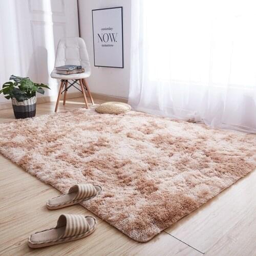 Multi-size Antiskid Soft Special Silk Wool Pv Velvet Long Hair Carpet Rug Living Room Bedroom Carpet Mat 200cm*250cm