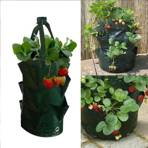 3 gallon Hole Garden Planting Grow Bag Strawberry Vertical Flower Pouch Root Breathable Vegetable Round Reusable Pot Planter Bag