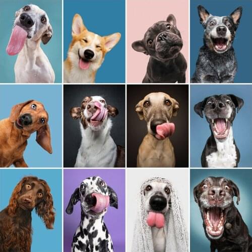 EverShine Full Square Drill Diamond Embroidery Dog New Arrival Diamond Painting Cartoon Handicraft Animals Decor For Home