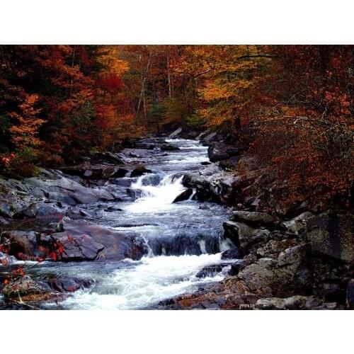 Forest Colors Creek Landscape 2 Wall Sticker Silk Poster Art Light Canvas Home Decoration
