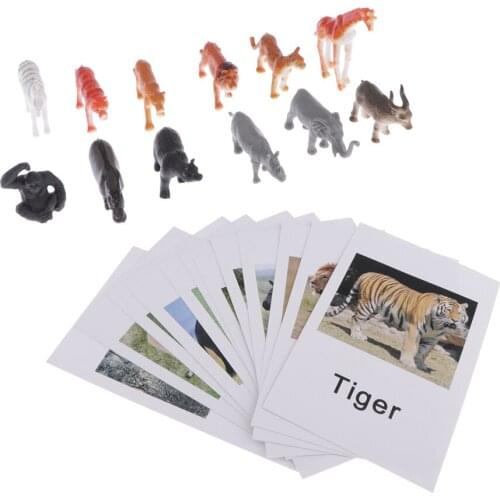 Wild Animal Group Model Card Homeschool Group of Animals Science Naming Card