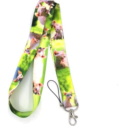 Animal Hairless Sphynx Cats Neck Strap Lanyards ID badge card holder keychain Mobile Phone Strap Gift Ribbon webbing necklace