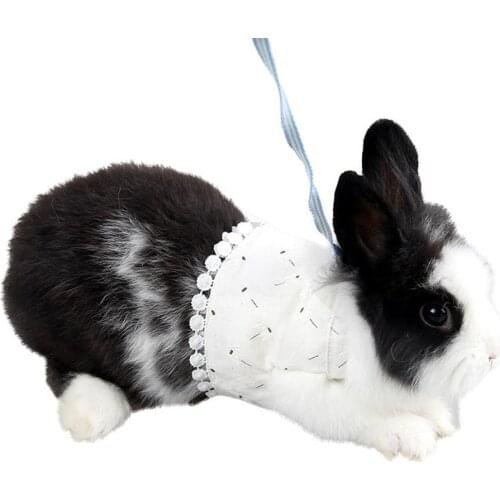 Small Pet Clothes Leash Spring Summer Pulling Rope Chest Strap for Chinchilla Dutch Pig