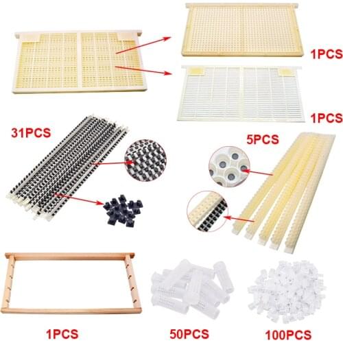 Bee Queen Rearing and Royal Jelly Producing Queen Rearing Kit No Graft Queen Rearing Kit Complete CQR-3C Queen Rearing System