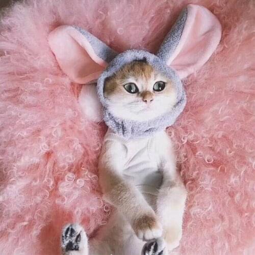 New Cute Bunny Ears Headband Men and Women Stylish Soft Coral Velvet Cat Ear Headband Warm Hair Towel Exquisite Hair Accessorie