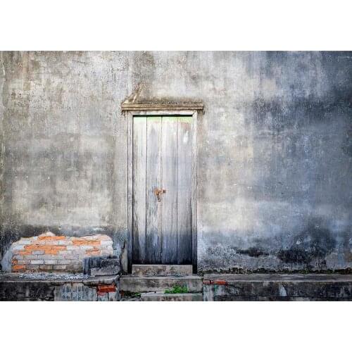 Photo Background Brick Wall Wooden Door Computer Printed Backdrop for Children Baby Portrait Pets Photobooth Photography Props