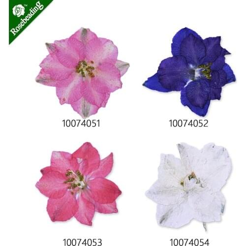 12pcs 35-40mm Dried Real Pressed Flower Stickers,Decorating,Surfbird flower-100740