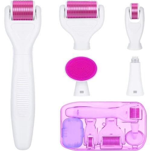 6 in 1 Derma Roller Kit for Face and Body Skin Care Tool 0.25mm and 0.3mm MicroNeedle Dermaroller For Home Skincare Tool