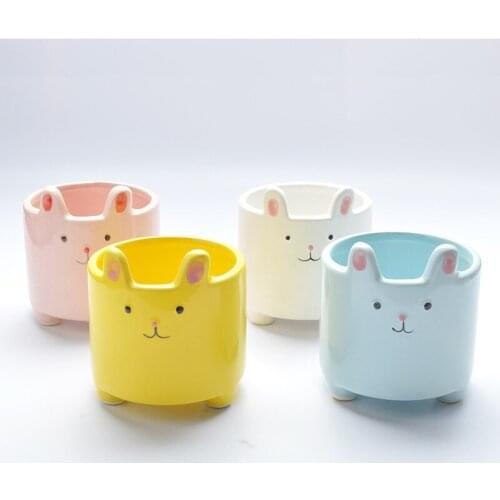 Meat Cartoon Flowerpot Ceramics Lightweight Breathable Simple Meat Plant Creative and Personalized Flower Pot Home Accessories