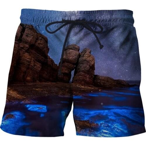 Summer 3D landscape graphics beach pants fashion sports pants printing animation quick-drying surf shorts mens fitness pants