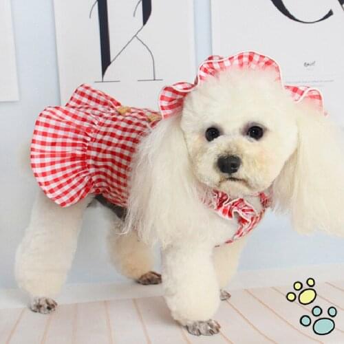Summer Pet Dog Dress Outdoor Dog Clothes Hat Caps Cat Puppy Skirt Yorkshire Pomeranian maltese Poodle Bichon Pet Clothing XS