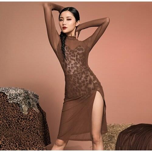 Long Sleeve Latin Dress See-Through Stand Collar Slit Prom Dress Practice Skirts Female Dancewear Latin Dance Costume SL5472