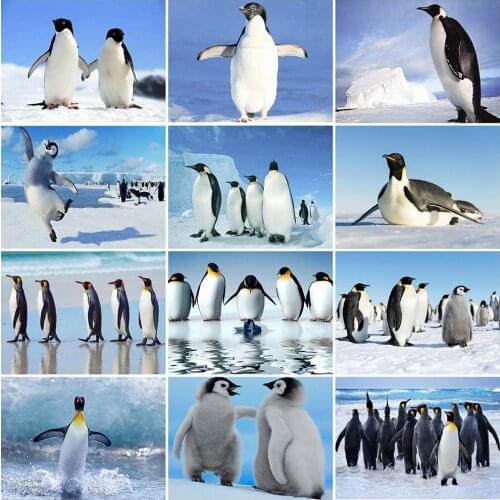 Evershine 5D DIY Diamond Embroidery Penguin Diamond Painting Animal Full Square Round Picture Of Rhinestone Home Decoration