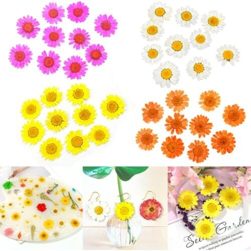 1 Pack Dried Flowers UV Resin Natural Flower Stickers Dry Beauty Decal For DIY Epoxy Resin Filling Jewelry Decoration