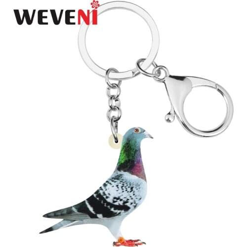 WEVENI Acrylic Carrier Pigeon Key Chains Bird Key Rings Bag Car Purse Decorations Keychains For Women Girls Teen Men Charms Gift