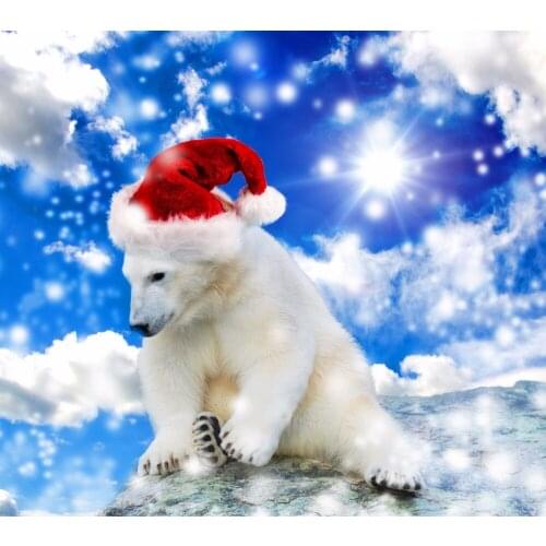 New 5D Full Diamond Painting Picture Pastes Diamond Embroidery Paintings of Rhinestone Diamond Mosaic Christmas bear HL509