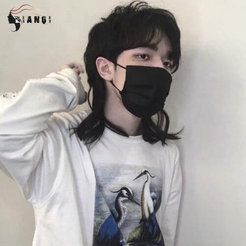 DIANQI Synthetic Short Straight Middle Part Hair For Boy Party Black Heat Resistant Fake Hair Mullet Fish Head Type Men Wigs