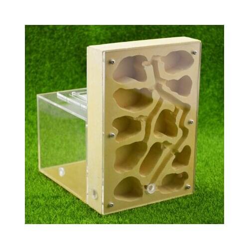 Ant nest breeding nest moisturizing nest domineering new gypsum nest feeding gypsum large nest