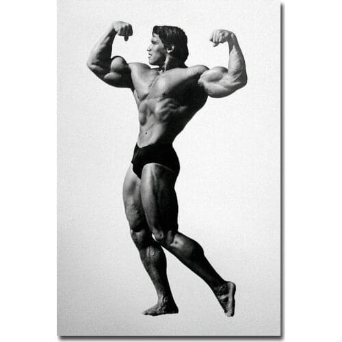 067 ARNOLD SCHWARZENEGGER - Bodybuilding 123 Wall Silk Cloth Poster Art Decoration Gift