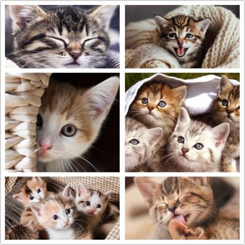 5D Diamond Painting Square/Round "Cute Kitten" DIY Diamond Embroidery Home Decoration Kids Gift Picture