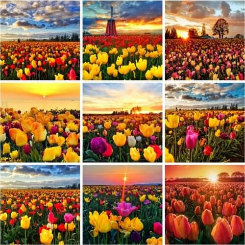 5D Full Drill Diamond Painting Tulip Flower Craft Kit Diamond Embroidery Landscape Sunset Needlework Decor For Home