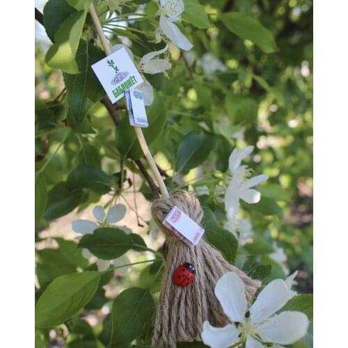 Katharina Spee Decor Items