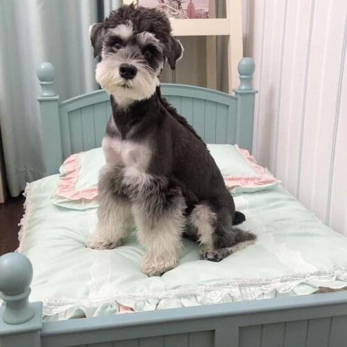 Four-piece bedding + solid wood pet bed