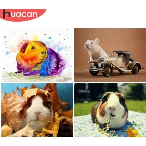 HUACAN 5D Diy Diamond Painting Animal Full Square Mosaic Sale Mouse Embroidery Home Decor New Arrival Diamond Art