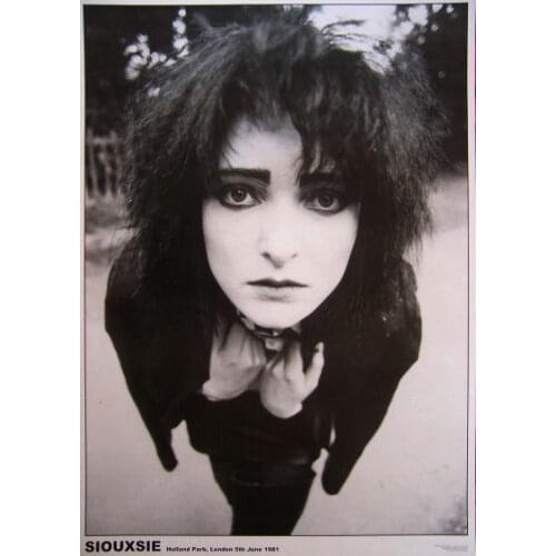 Siouxsie Sioux and the Banshees UK Import US Shipping Silk Poster Wall Sticker Decoration Gift