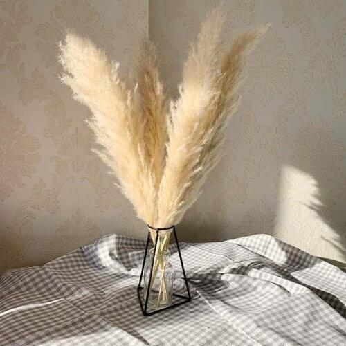 Hot sale 55cm Pampas Grass Decor Extra Large Natural Dried Flowers Bouquet Wedding Flowers Vintage Style for Home Valentines