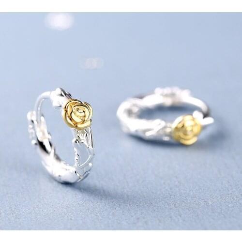 ZSHANSGL Earrings For Children