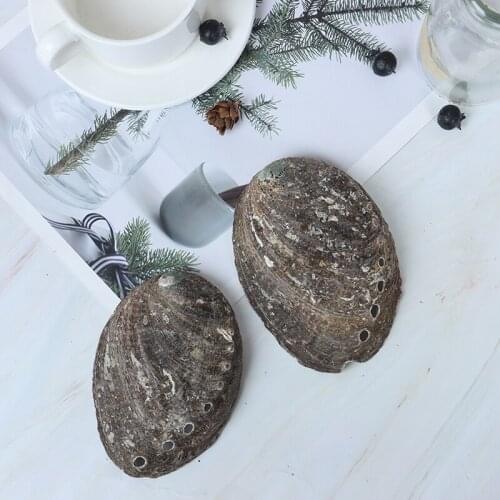 10-14Cm Natural Abalone Shell Large Sea Shells Nautical Decor Soap Landscape Fish Diy Aquarium Wedding Dish Tank Home Decor
